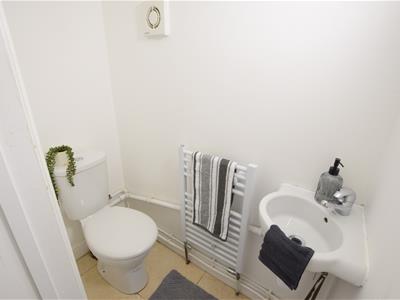 Picture 17